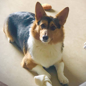 Meet your Posher, Mariana